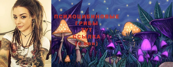твердый Алзамай