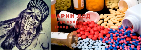 твердый Алзамай