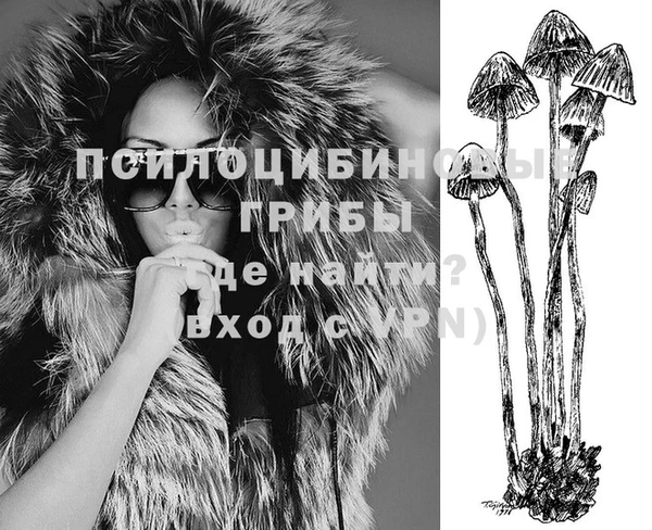 твердый Алзамай